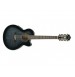 IBANEZ AEL2012E TKS, 12-strunska elektro-akustična kitara